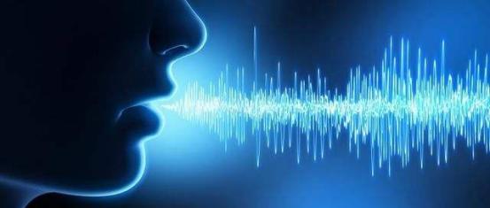 最新资源Box资源盒子，解锁数字时代的无限可能