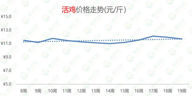 官网最新鹅价，揭秘鹅产业的市场动态与未来趋势