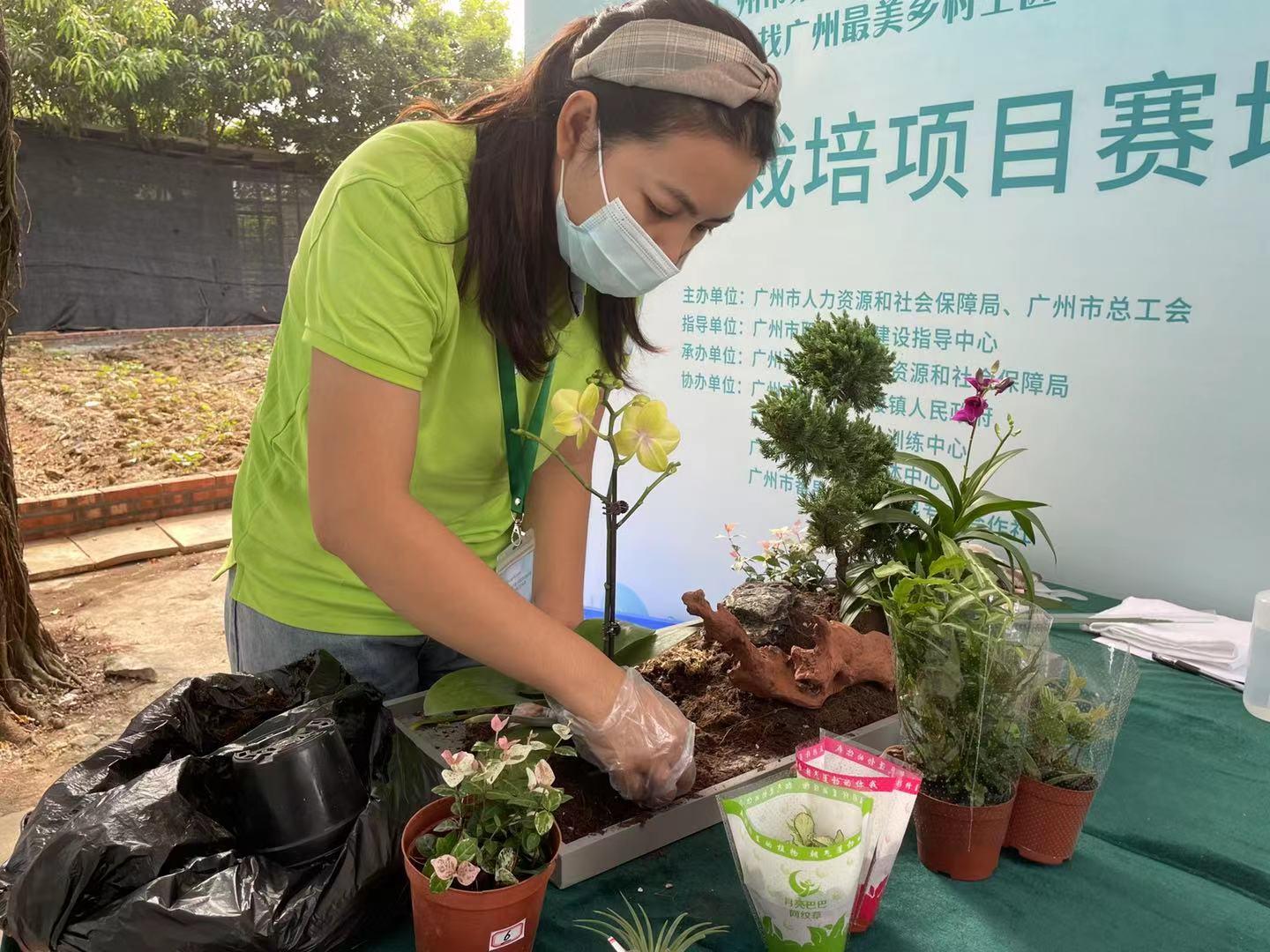 职称改革最新动态，重塑人才评价体系，激发创新活力