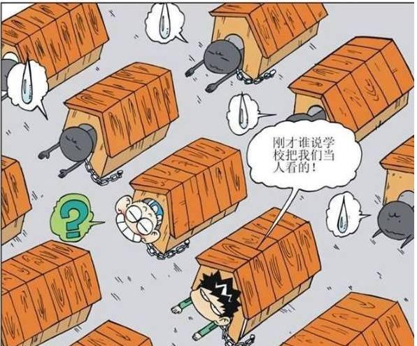 探讨最新的教师打学生事件，根源、影响与解决之道
