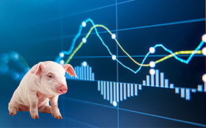 猪肉价格最新信息，市场波动背后的原因与未来趋势分析