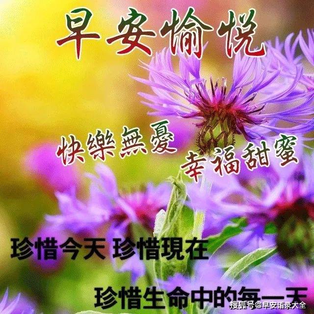 最新问候图片，早上好
