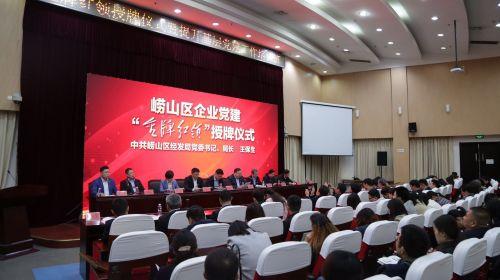 特锐德最新状况，创新引领，绿色出行新篇章