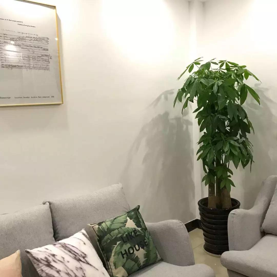 客厅大门最新款，开启未来家居新风尚