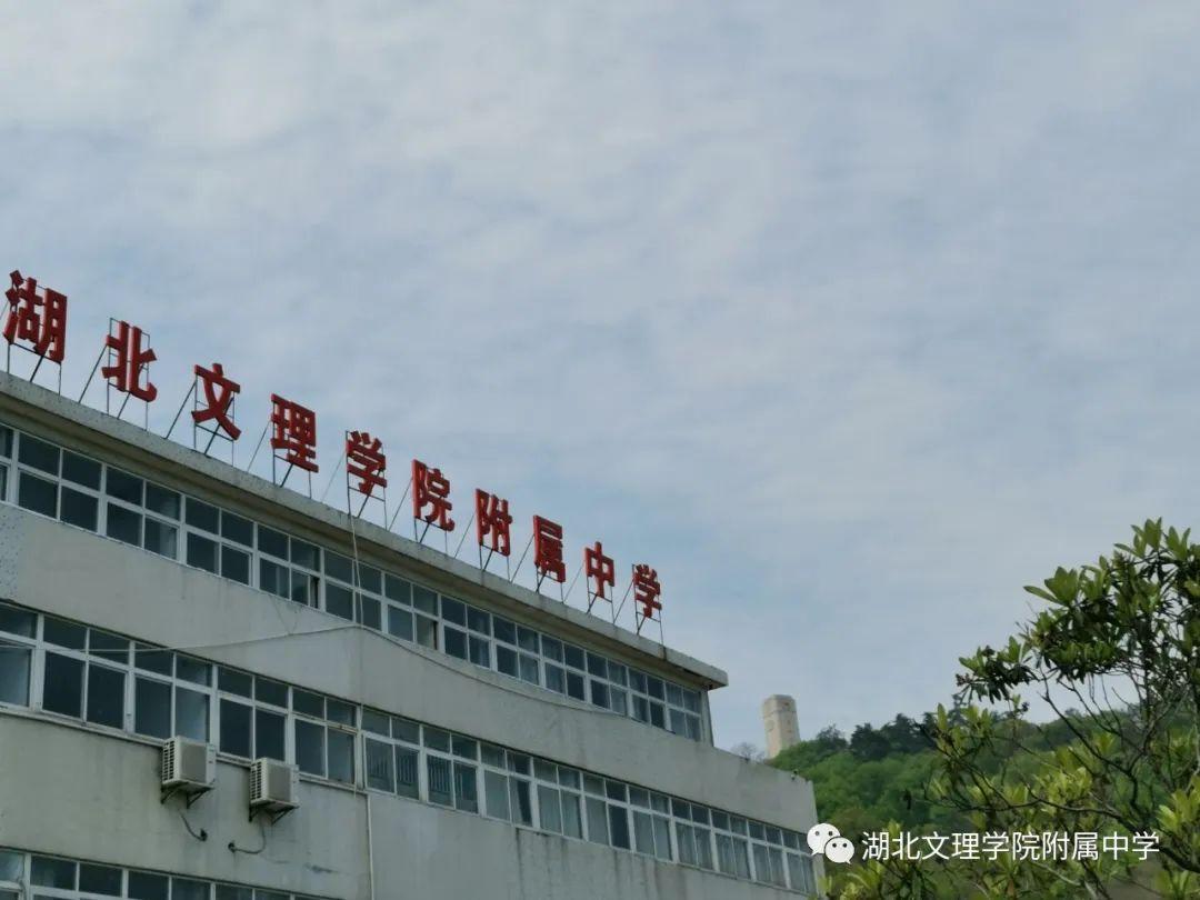 中国最新疫情消息湖北，持续努力，共筑健康防线