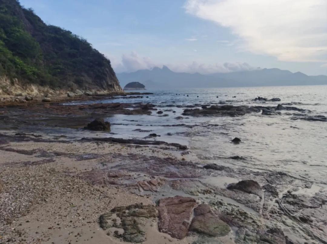 深圳杨梅坑最新攻略